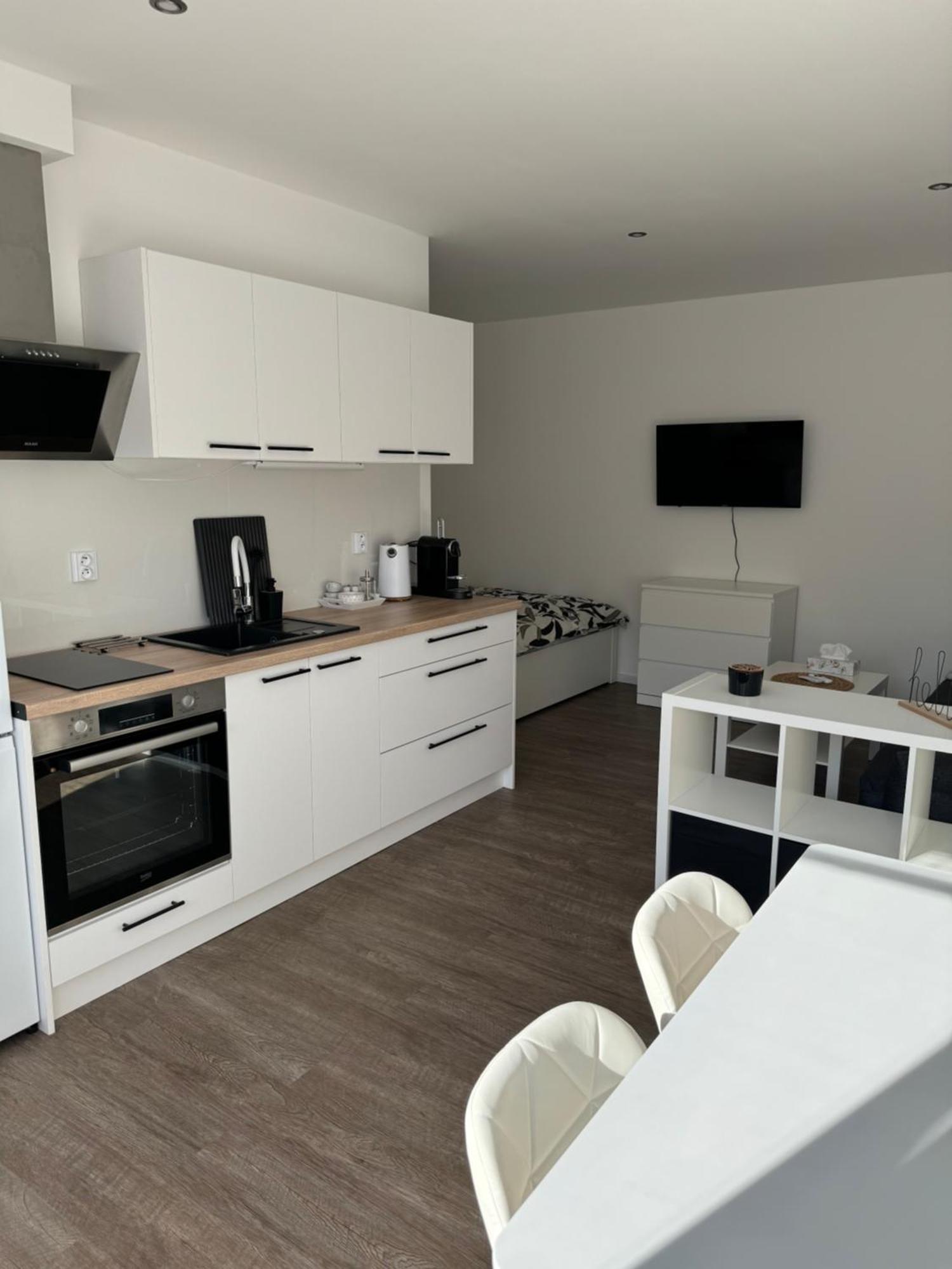 Rk Apartment 布尔诺 外观 照片