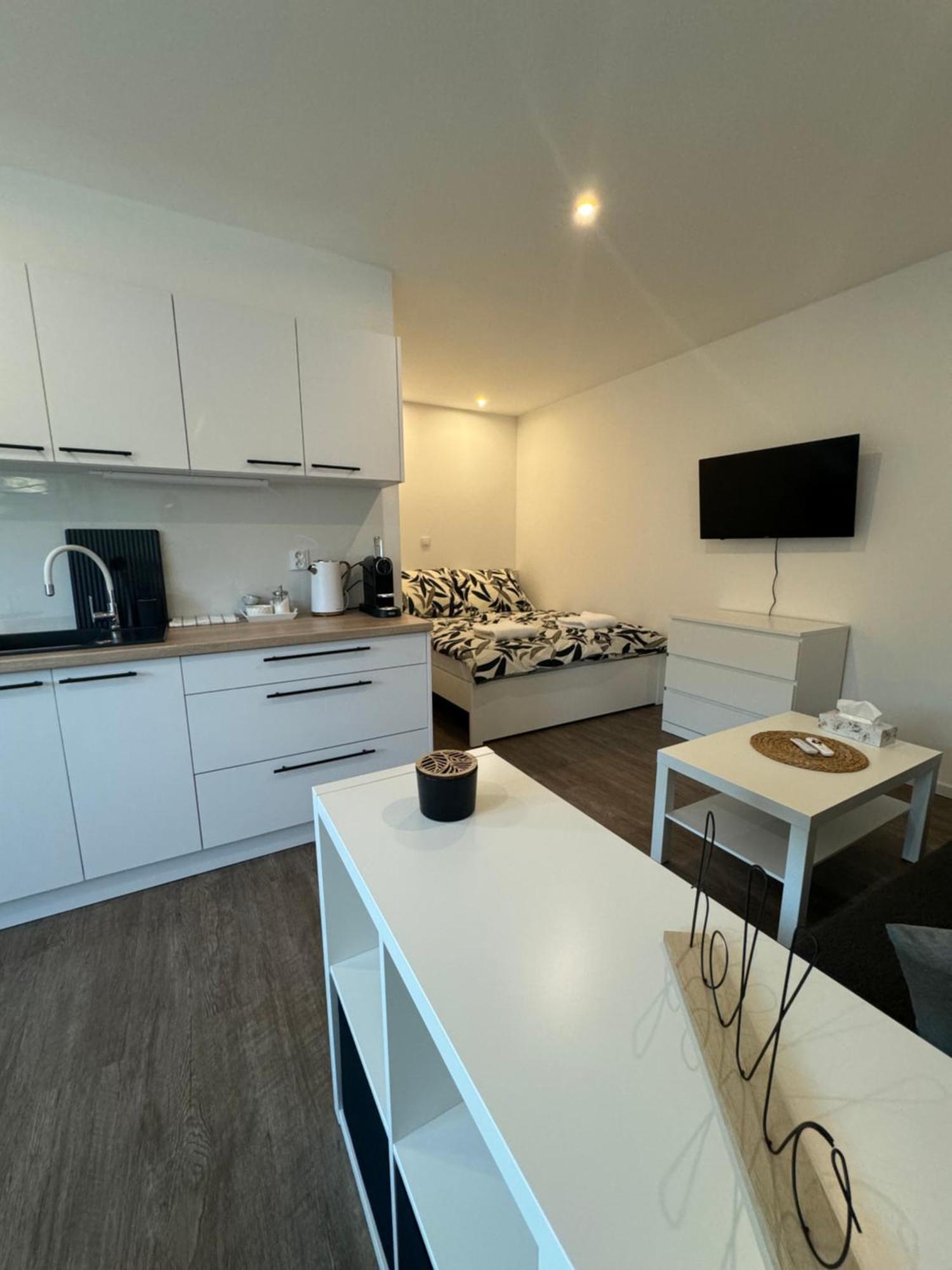 Rk Apartment 布尔诺 外观 照片